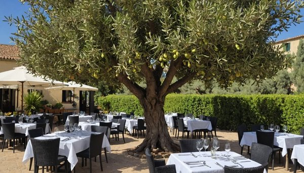 L'Olivier de Vallauris - Restaurant Vallauris