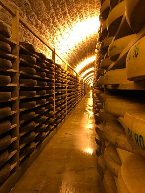 Cave à fromage : guide pour une conservation parfaite